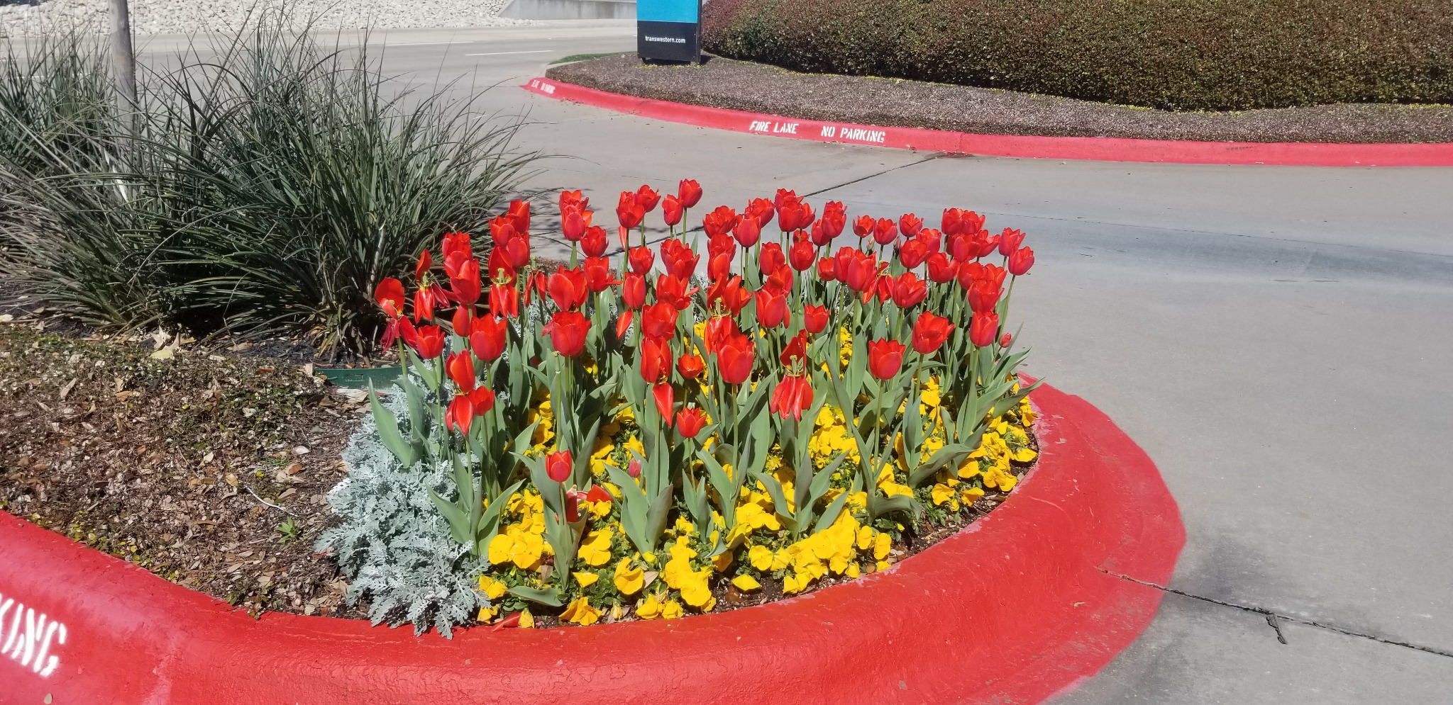 Landscaped flower bed