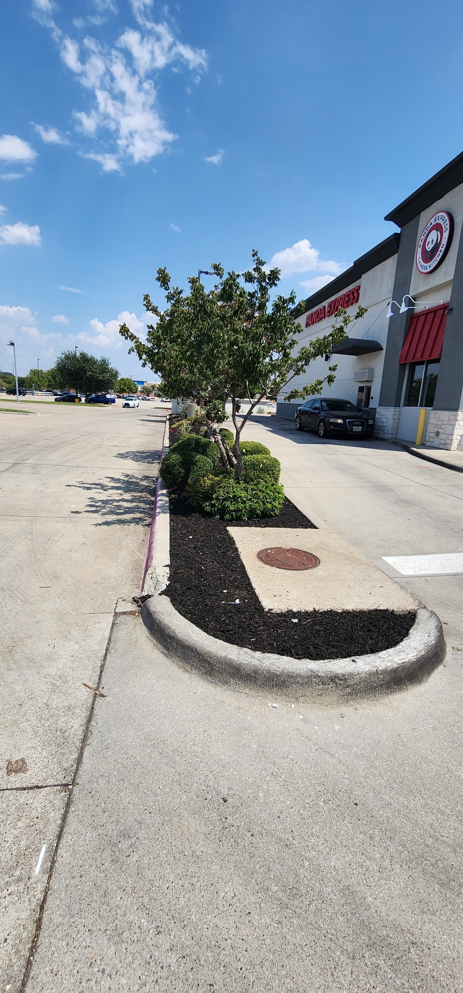 Outdoor curb and landscape improvement